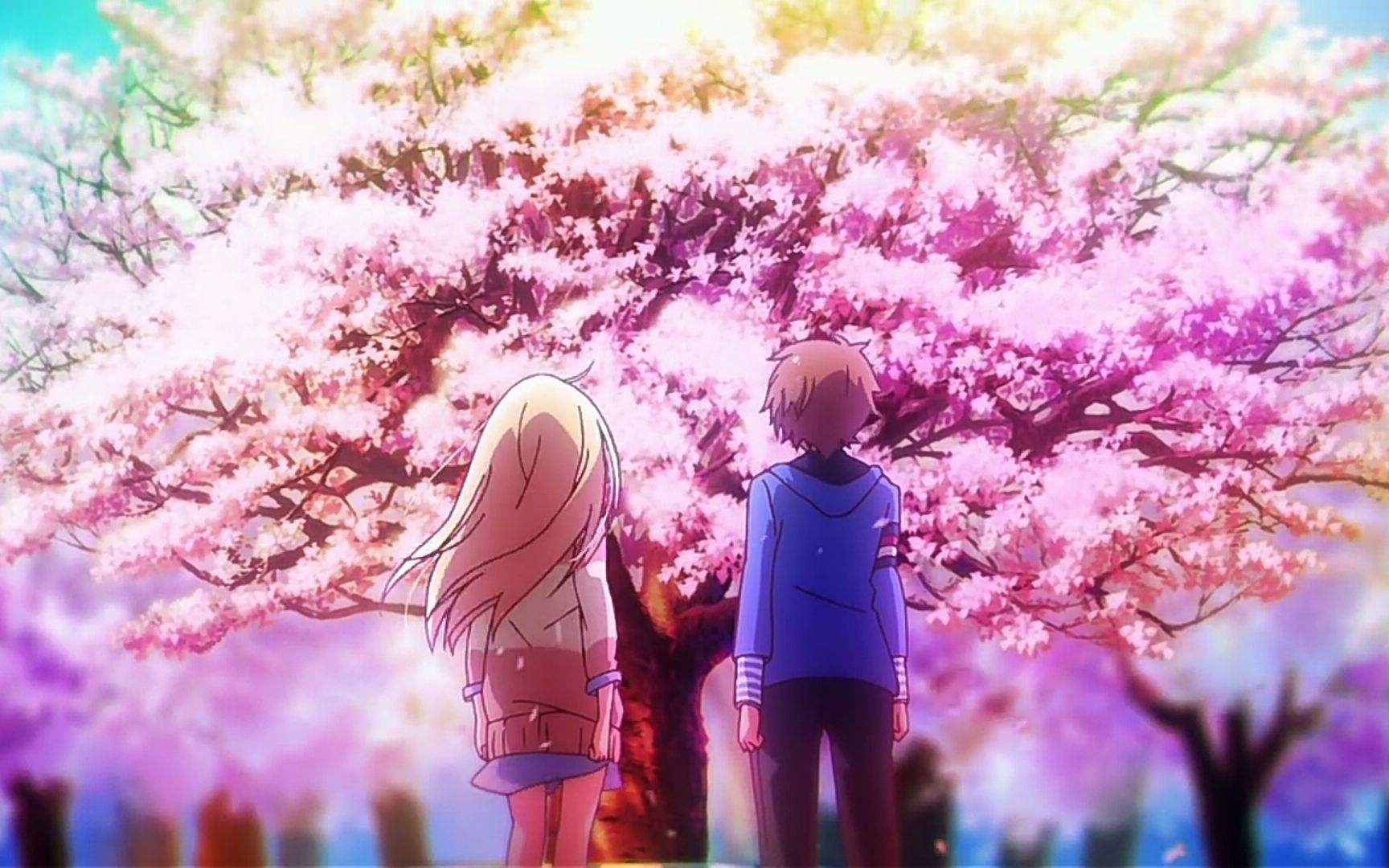 《樱花庄的樱花宠物女孩》讲了些什么?
