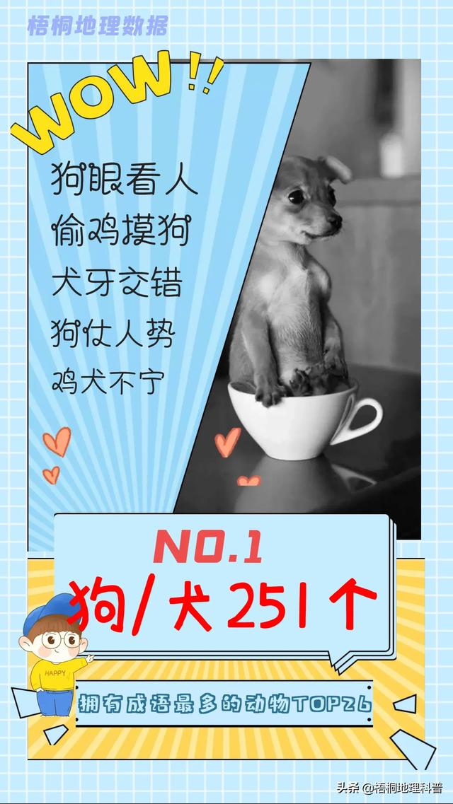 关于猫的词语有多少个，关于猫的词语有多少个词语（盘点哪种动物拥有的成语最多）