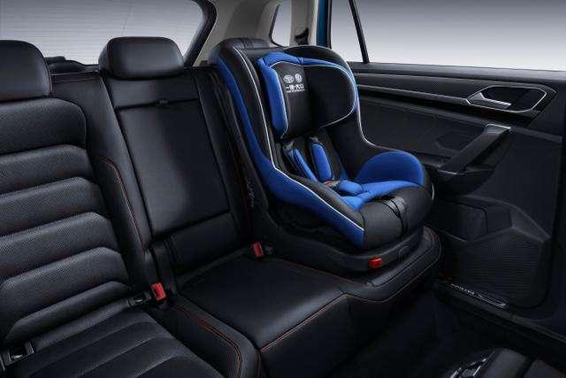 西班牙睡鼠认主人吗，很好养超级迷你宠物（到底为什么这么招人爱）