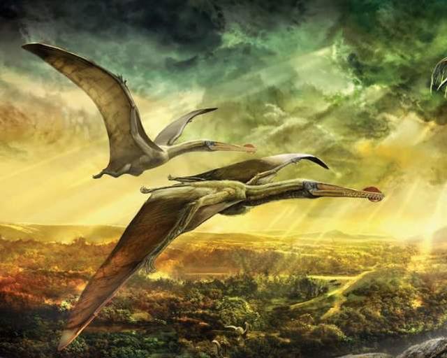 恐龙灭绝的原因，恐龙灭绝的原因是什么（恐龙灭绝的原因为什么能争论100多年）