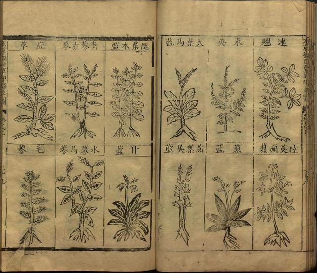 本草纲目全书带图，李时珍本草纲目全书（李时珍著《本草纲目》附图卷）