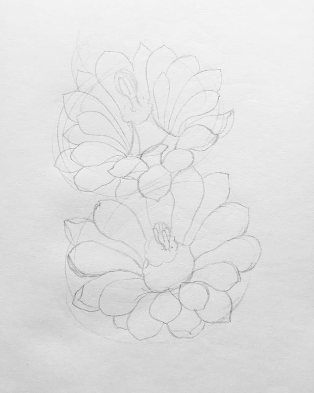 花瓣的简笔画法，花瓣简笔画图片大全（零基础也可以画的很好看）