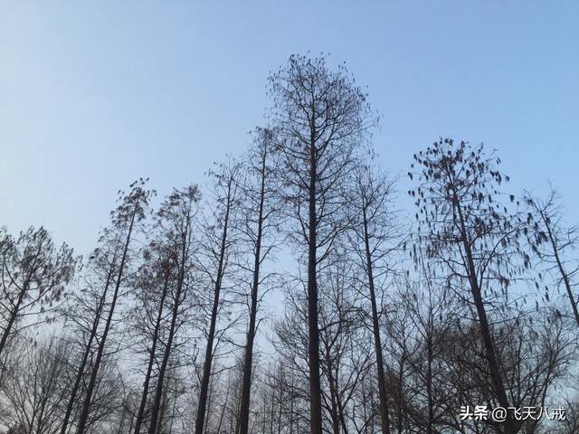 南京景点介绍，南京一日游必去景点推荐（南京九个不得不去的小众景点）