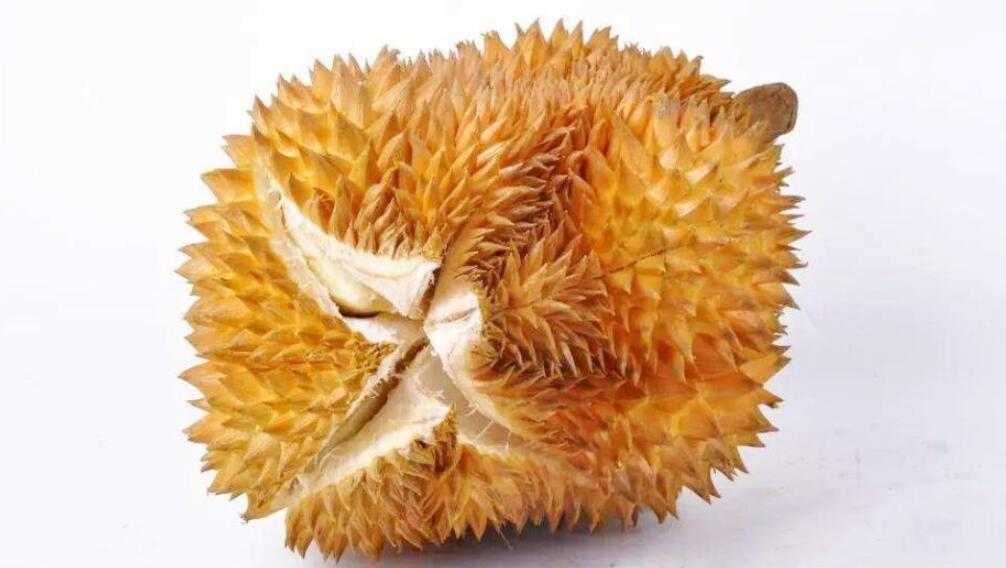 图片[4]-选榴莲技巧 只需看这5点 轻松选出皮薄肉厚 又香又甜的榴莲-起舞食谱网