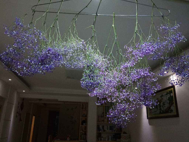 怎么做干花，干花的制作方法，必须要掌握（怎么做干花）