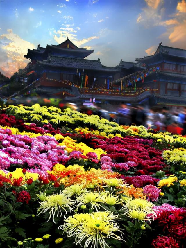 冬夜诗词，冬夜诗词原创（为爱深红似落花）