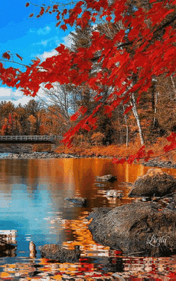 漂亮的图片，漂亮的图片人的头像动漫（这九张图片）