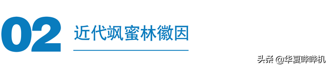最近流行的飒什么意思，飒是什么意思（当代艺人谁是真正的飒蜜）