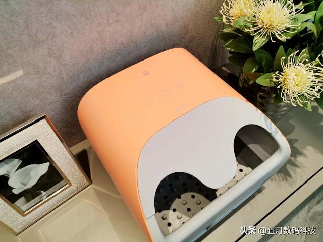 蒸脚可以天天蒸吗，一天中熏蒸的最佳时间（左点小仙智能足蒸器赛仙气）