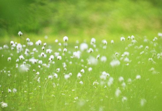 感悟人生图片大全，最精辟人生感悟短句图片（唯美图文：十句关于人生的感悟）