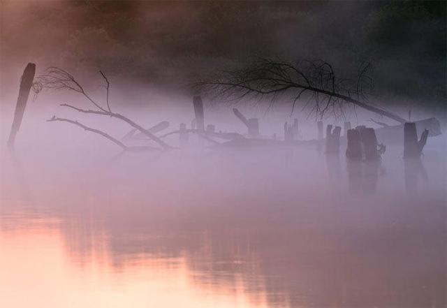 梦见去看医，梦见去看医生（梦见当医生<梦境解析案例>）