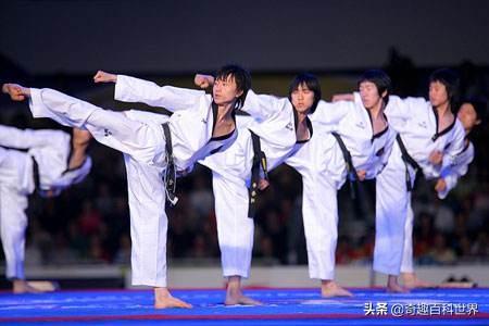 ITF跆拳道和WTF跆拳道的区别，跆拳道itf与wtf哪个好（徒手格斗术---跆拳道）