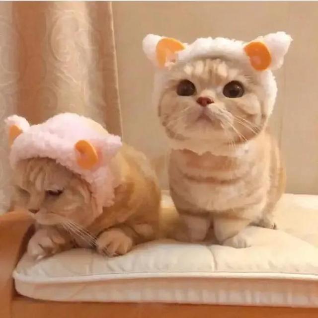 不容易被发现的情侣头像，不容易被发现的情头微信（超甜又隐蔽的情侣头像）