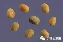 白牛胆的功效与作用，白牛胆的功效与作用禁忌（中药图片大全与功效）