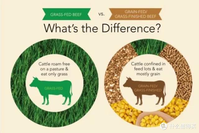 美国牛排 等级，买牛肉不要再上当了好吗