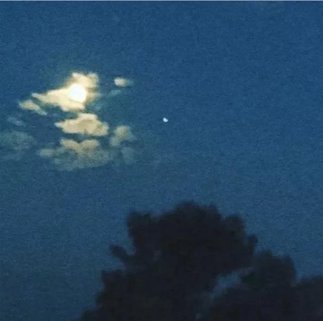 等君归.闻卿至.网名，等君归.闻卿至.（情侣网名：春风又绿江南岸）