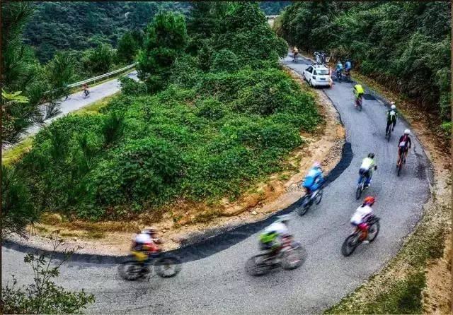 合肥周边自驾游，合肥周边10大自驾目的地（合肥周边骑行或自驾游风景超美的7条公路推荐）