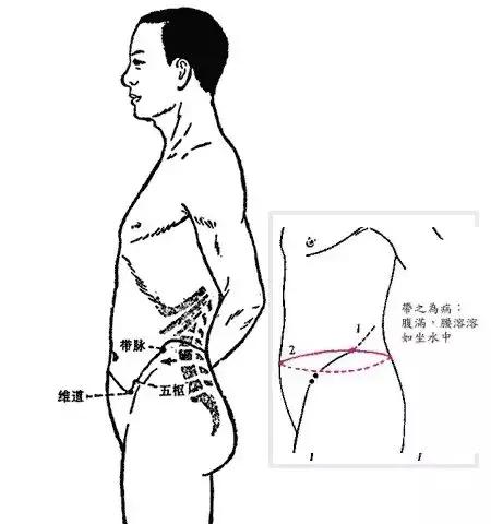 奇经八脉图解，详解奇经八脉！<收藏再看>