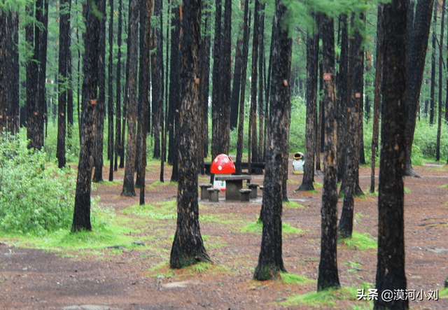 漠河旅游攻略，漠河旅游多少钱（漠河旅游实用攻略）