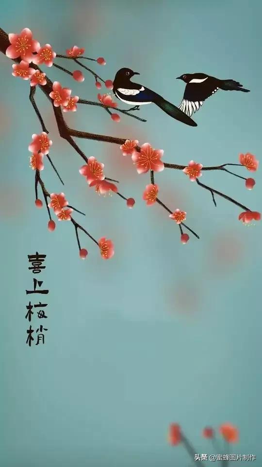 清新图片背景(背景图片简约清新可爱)