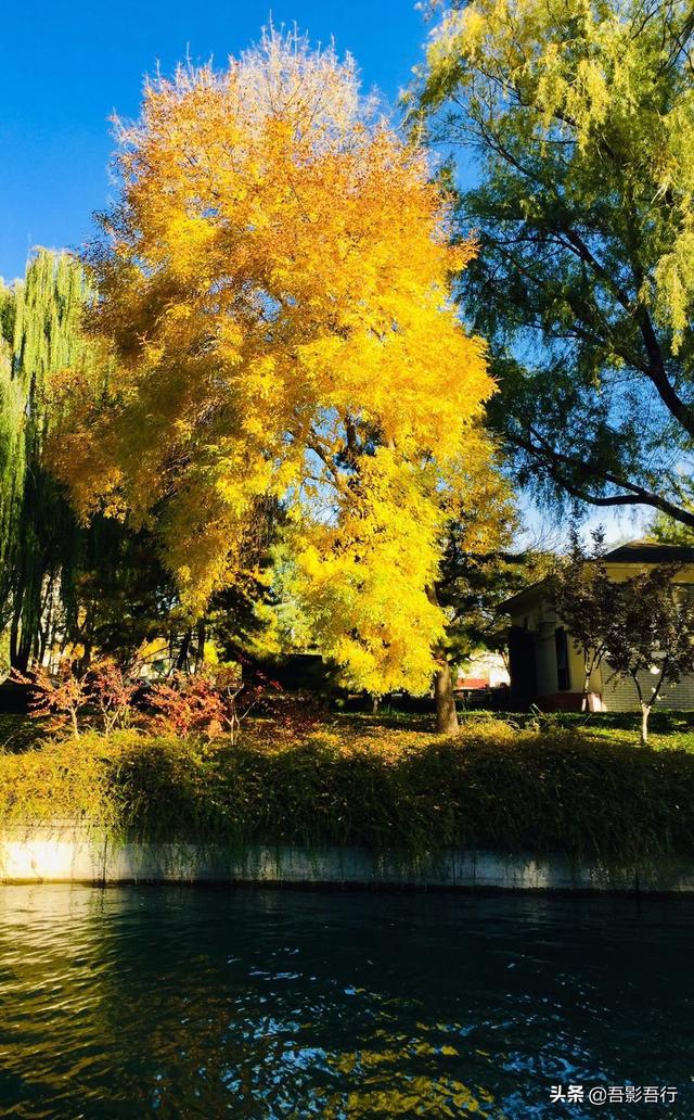 元大都遗址位于现在哪里，元大都遗址位于现在的哪个城市（遗迹众多、秋色醉人、晨跑、遛弯的生态园林）