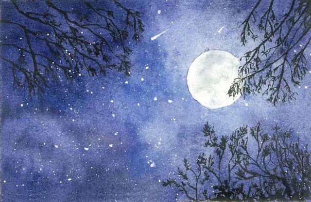 谁见幽人独往来，谁见幽人独往来后面一句是什么（写下人生最凄凉的一首词）