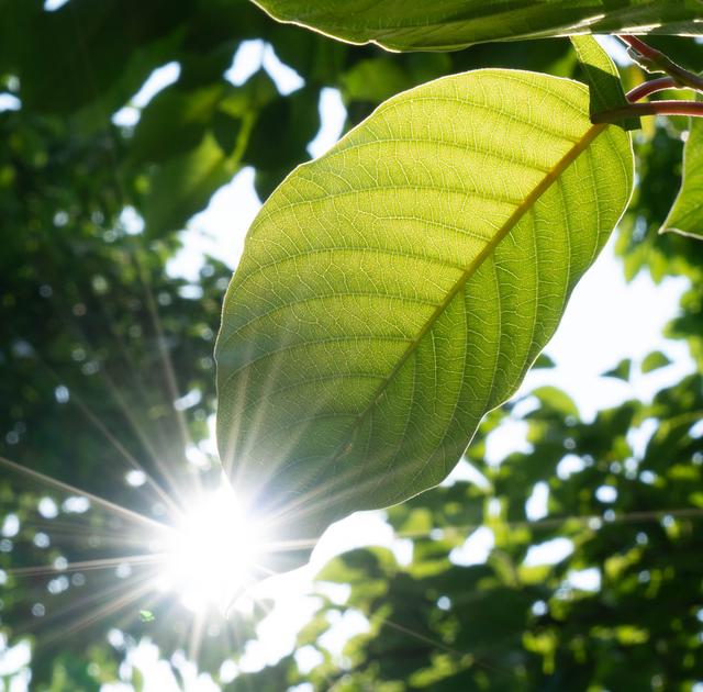 空间相册封面图片，相册图片 封面（未来很长，爱你的人，正在路上）