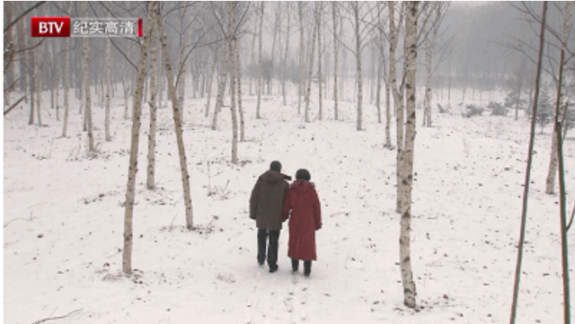 演员王海燕第一任丈夫是谁，演员王海燕第一任丈夫是谁啊（二婚嫁张嘉译育有一女）