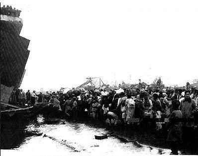 什么桥下没水，什么桥下没水立交桥打一生肖（美军空投桥梁修复水门桥）