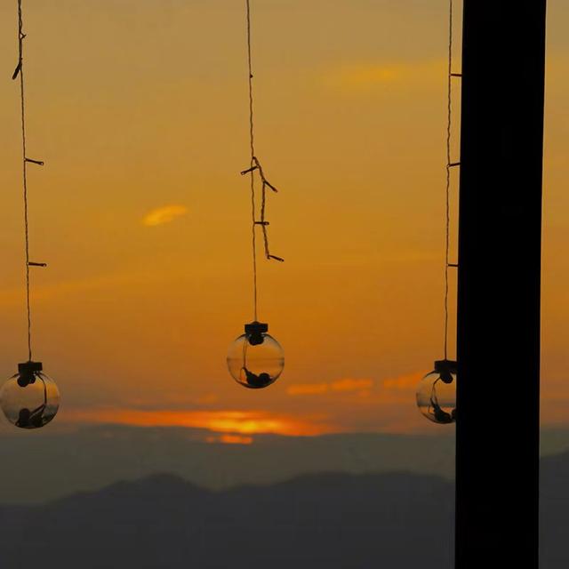 治愈系神仙温柔背景图 “人间美好  日落和你”，神仙治愈系温柔头像（那些让你一眼万年沦陷很久的神仙文案）