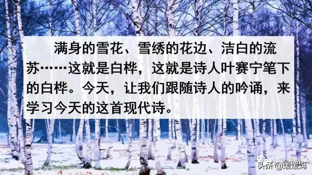 悠扬的近义词，“悠扬”的近义词是什么（四年级下册语文第11课《白桦》图文详解及同步练习）