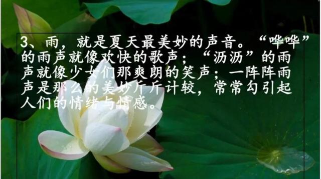 夏天的词语有哪些，描写夏天的词语有哪些（素材积累《描写夏天的好词、好句》）