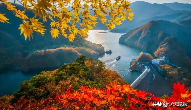 今秋本溪最佳赏枫地点大汇总，枫叶的特点