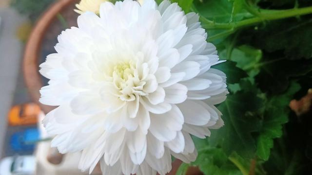 怎么进入深度睡眠，教你如何进入深度睡眠（睡眠的秘密——不再失眠和快速进入深度睡眠的方法）