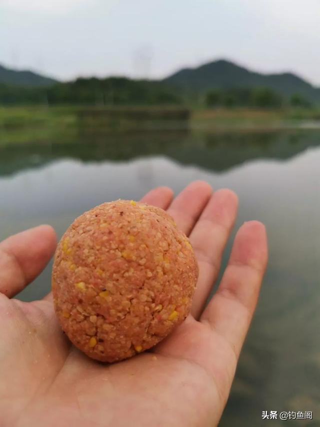 自制野钓鲤鱼饵料的做法，只要买来这些原材料