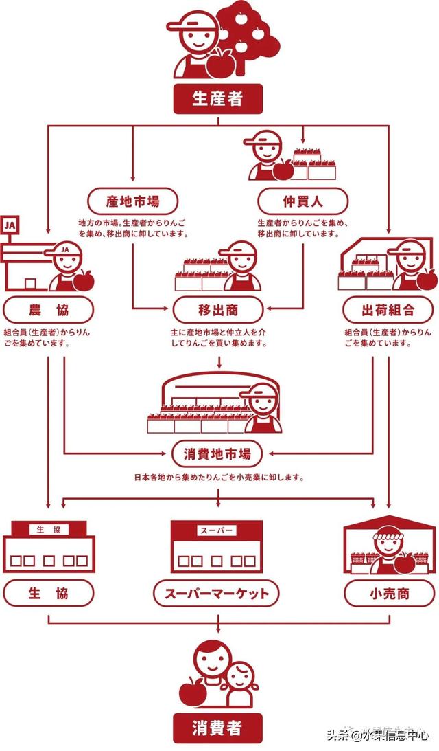 果蜜是什么，柠檬果蜜是什么（走进日本苹果第一大县“青森县”）