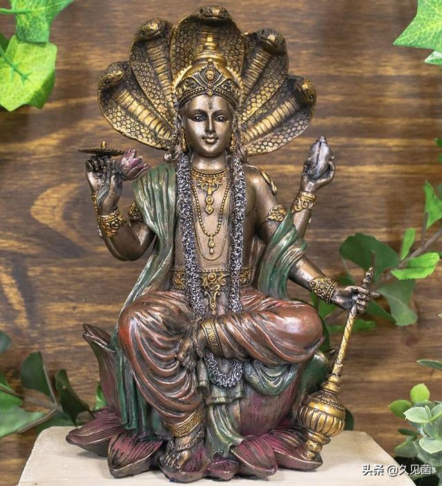 印度蛇为什么是保护动物，印度每年4.59万人死于蛇咬