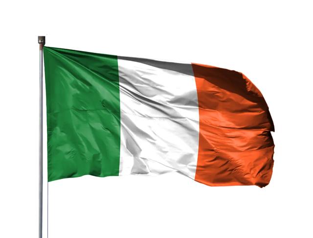 蓝底黄十字是什么国旗，蓝底红黄十字国旗（为什么在巴黎8分钟里）