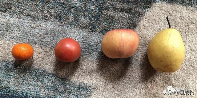 爷爷奶奶简笔画，爷爷奶奶简笔画头像图片（水果、乐高、小纸片......在家怎么系统锻炼孩子的数学思维）