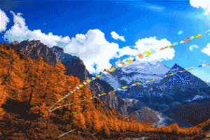 毕业旅行文案，毕业旅行文案8个字（毕业季，用一场旅行致青春）