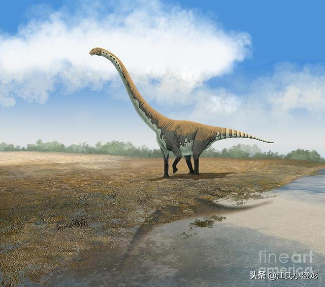 re网名的含义，Re微信昵称（2020古生物学家到底命名了多少种恐龙）