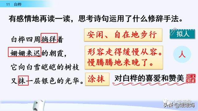 悠扬的近义词，“悠扬”的近义词是什么（四年级下册语文第11课《白桦》图文详解及同步练习）
