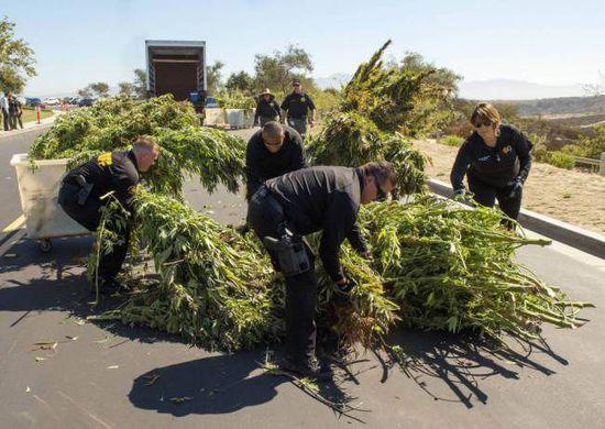 世界上哪里有僵尸，地球有僵尸存在吗（费城街头“丧尸”遍地）