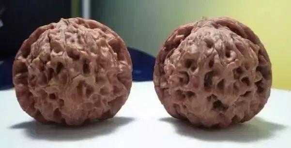 狮子头核桃种类分类有哪些（文玩核桃狮子头大全）