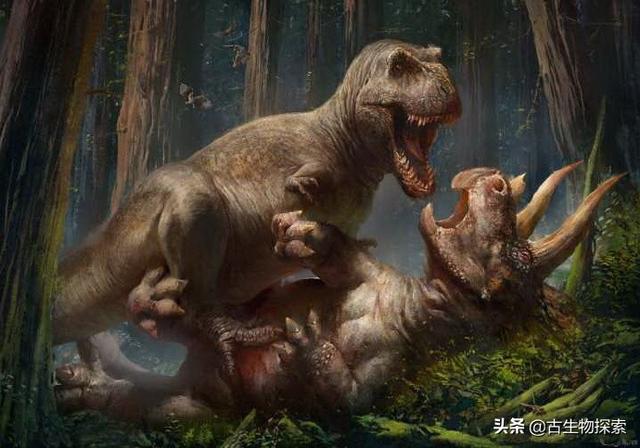 triceratops，triceratops是什么恐龙（三角龙能反杀霸王龙）