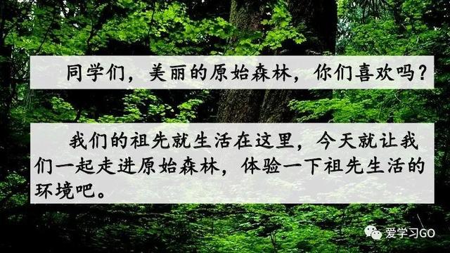 赛跑的拼音，赛跑的拼音怎么读（部编版二年级下册第23课《祖先的摇篮》知识点+图文讲解）