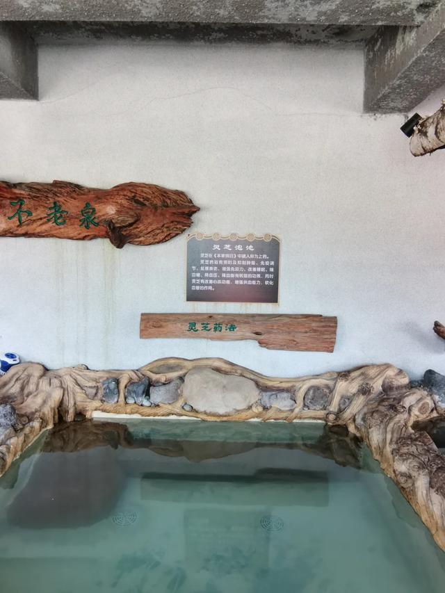 男神节是几月几日，男神节是几月几号（这个情人节就是想“泡”你）