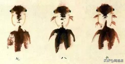 金鱼画法步骤图解,国画写意鲤鱼、金鱼的画法 金鱼画法步骤图解,国画写意鲤鱼、金鱼的画法