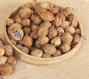 图片[7]-卤肉卤菜时 需要哪些香料？了解这25种香料的作用 香味入骨！-起舞食谱网