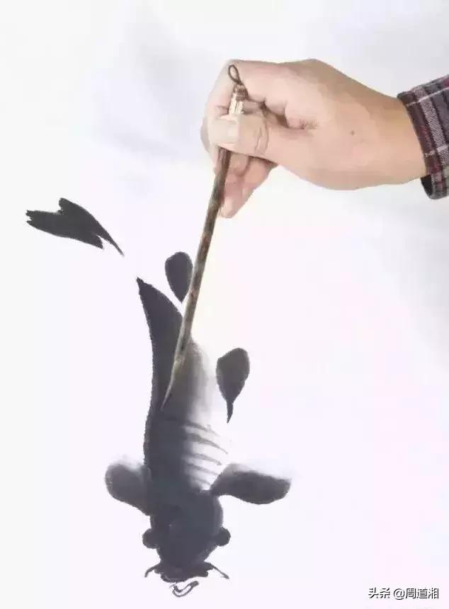 金鱼画法步骤图解,国画写意鲤鱼、金鱼的画法 金鱼画法步骤图解,国画写意鲤鱼、金鱼的画法